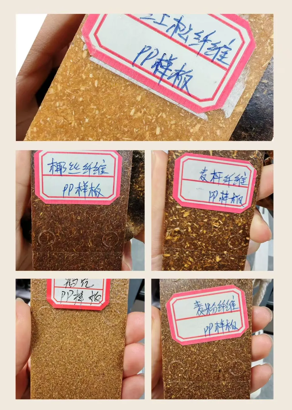 使用红松纤维、椰壳纤维、麦秆、稻壳和小麦粉植物纤维填充物的注塑PP样品板